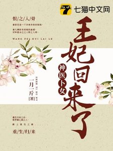 神醫卜女:王妃回來了